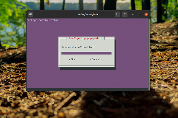 Установка phpMyAdmin 4 Установка phpMyAdmin 4