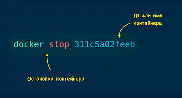 Команда docker stop Команда docker stop