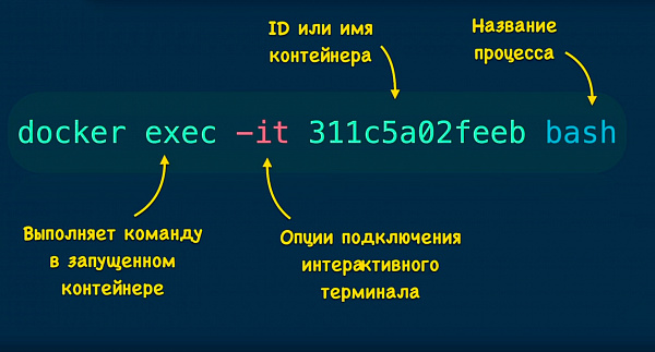 Команда docker exec Команда docker exec