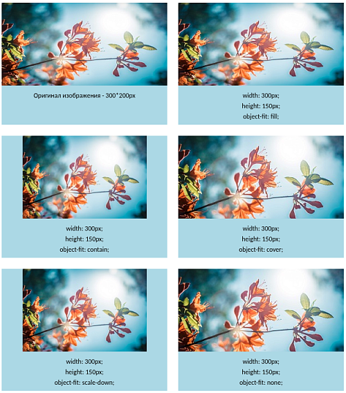 Свойство object-fit