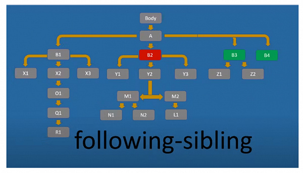 Following-sibling Following-sibling