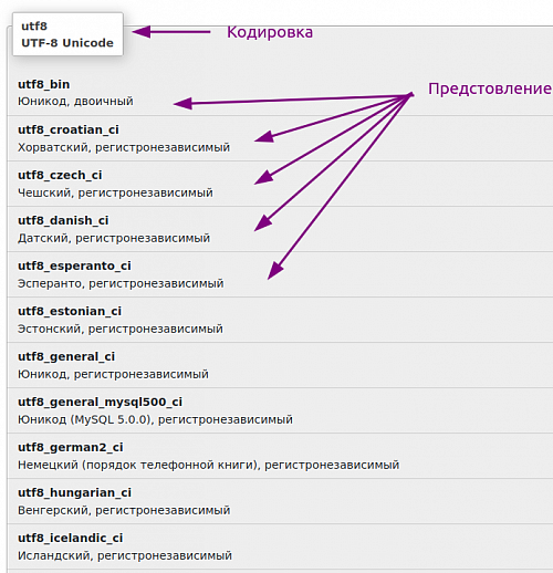 Предстовление и кодировка