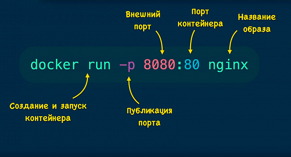 Команда docker run Команда docker run