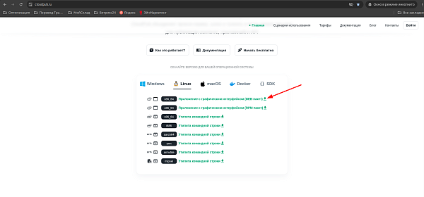 Tуннель на CloudPub