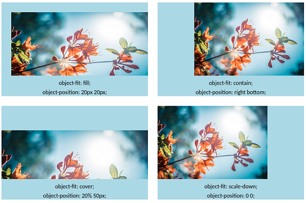 Свойство object-position