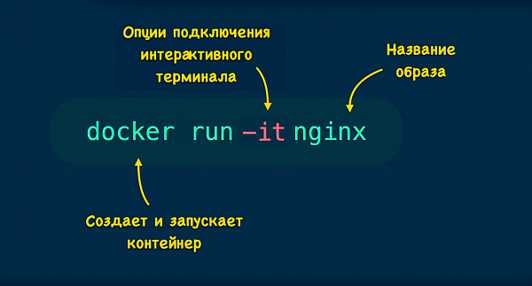 Команда docker run Команда docker run