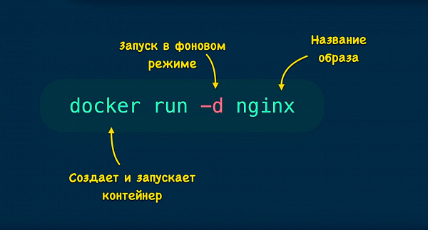 Команда docker run Команда docker run