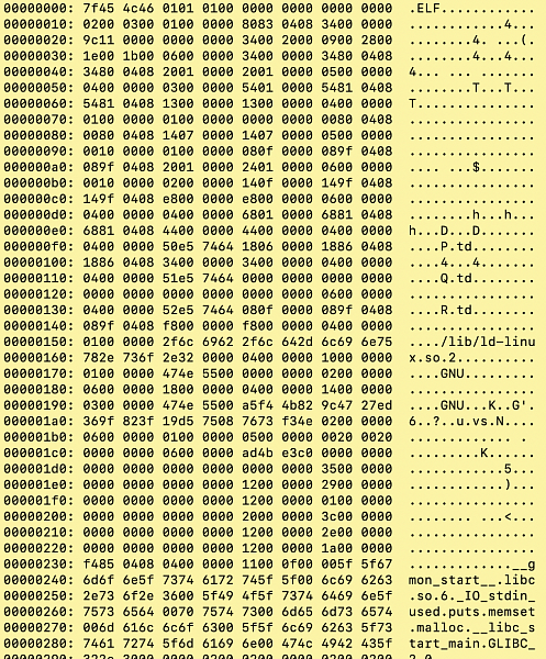 Бинарный файл Бинарный файл